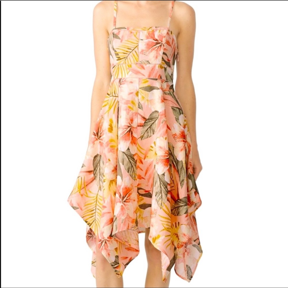 Joie Phara dusty nude tropical print dress